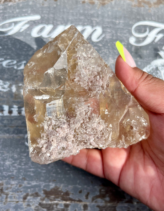 Gorgeous Natural Genuine Citrine point with Lepidolite from Brazil!